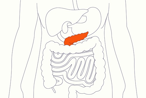 10 Health Facts About Pancreas