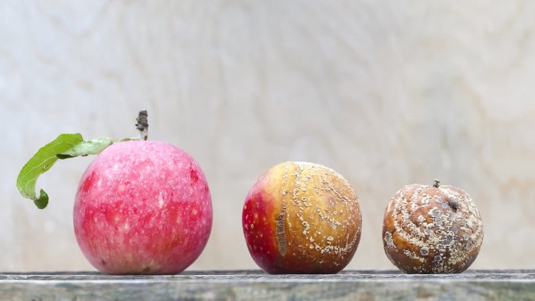 How to Tell If Food Has Gone Bad
