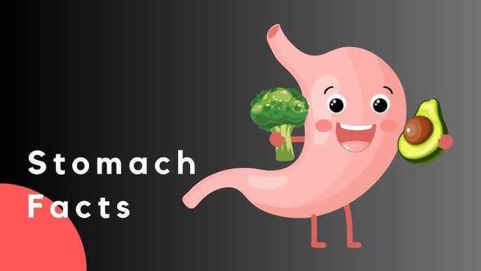 10 Health Facts About Stomach